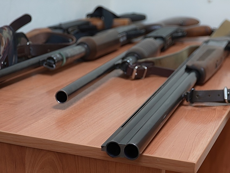 Северяне продолжают передавать гражданское оружие для борьбы с дронами