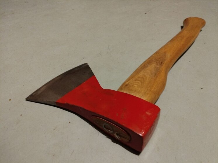 Прокуратура ищет потрошителей сосен в Балтийске