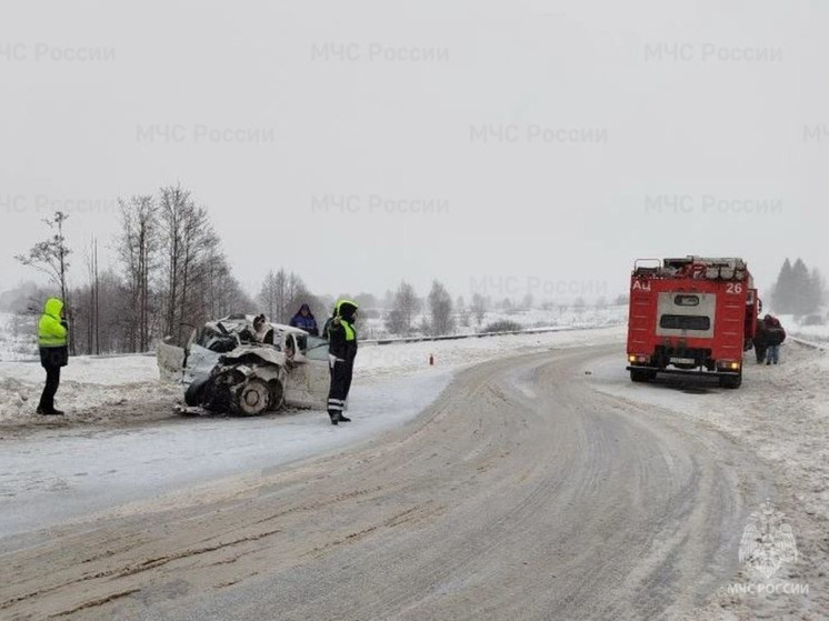 Стали известны подробности страшной аварии под Бабынино