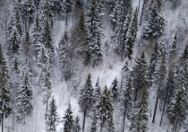 Ночь с 13 на 14 января — это волшебный временной портал, где сплетаются древние обычаи, народная мудрость и радость продления праздника. Это не просто «ещё один Новый год», а особый день — Щедрый вечер (Васильева коляда), полный символов, традиций и своих правил. Как его провести, чтобы притянуть в дом благополучие, а чего остерегаться?

