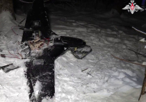 Террористическая атака Воронежа отмечена применением дронов ВСУ, напичканных большим количеством поражающих элементов