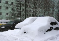 Снежный коллапс в Москве и Подмосковье активизировал находчивых россиян — на сайтах бесплатных объявлений появилась услуга по откапыванию машин