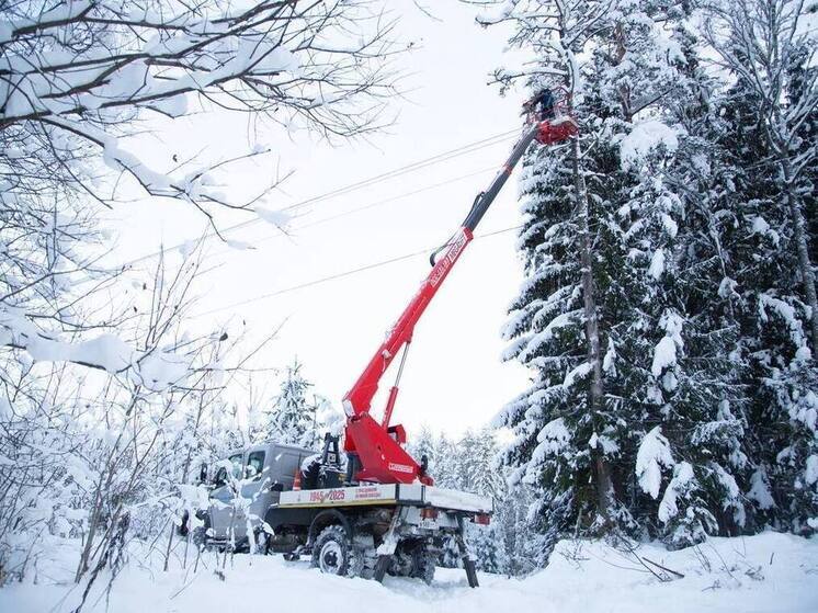 Энергетики восстановили 9900 километров ЛЭП в Новгородской области