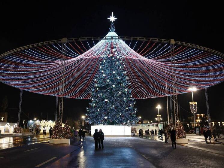 Тульская область вышла в финал всероссийского конкурса «Ёлки России»