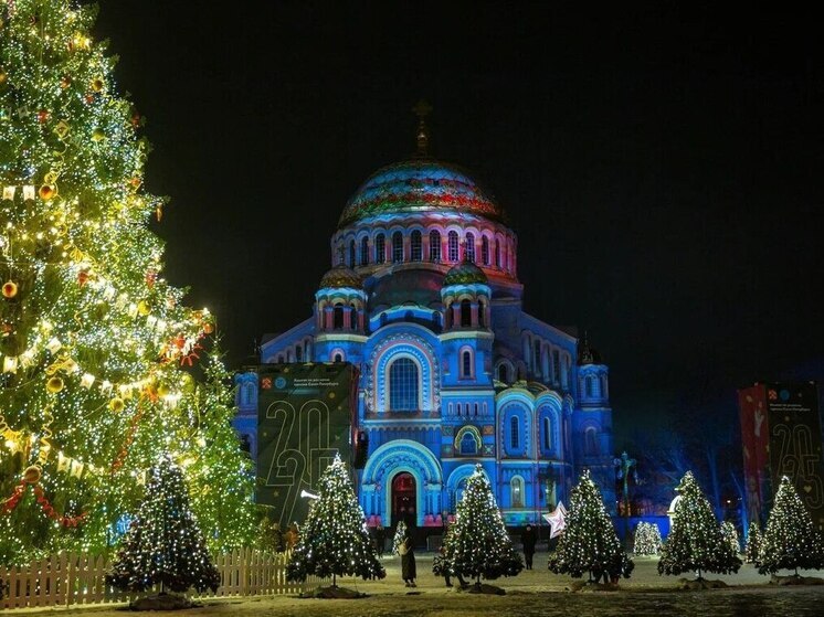 Новогодняя ель Кронштадта приняла участие во всероссийском конкурсе
