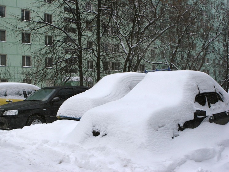 Снежный коллапс в Москве и Подмосковье активизировал находчивых россиян — на сайтах бесплатных объявлений появилась услуга по откапыванию машин