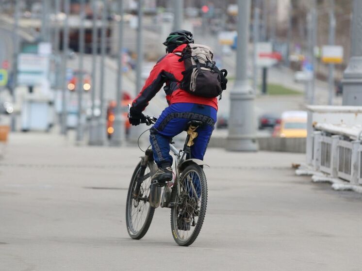 Ведомство выделило возрастные категории мошенников, объяснив их мотивацию