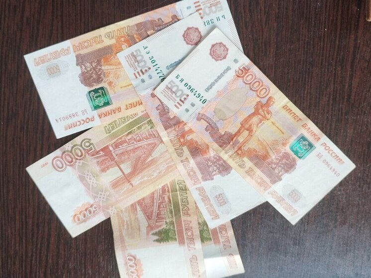 Новгородцы могут лишиться имущества при долге в 3 тысячи рублей