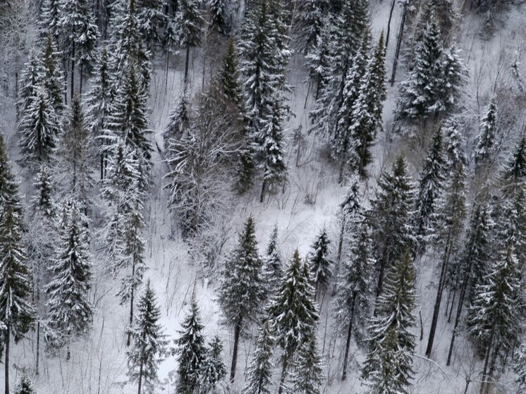 Россиянам объяснили, что 13 января в канун Старого Нового года нельзя считать деньги