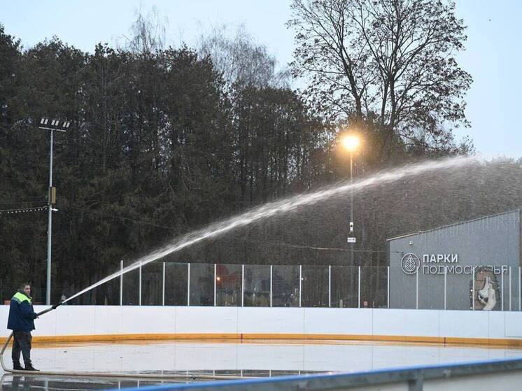 «День ледовара» отпразднуют 16 января на серпуховском катке