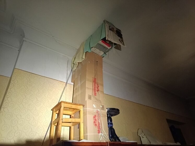 Рыжий кот застрял в дымоходе на Чайковского в Петербурге на все праздники