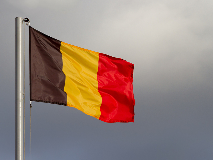 Министр обороны Бельгии прокомментировал ситуацию вокруг Гренландии и США