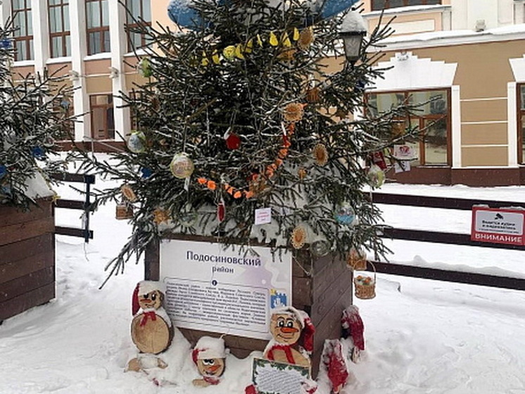 Ель Подосиновского района победила в голосовании за лучшую новогоднюю елку Кировской области