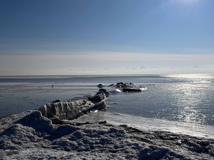 В Азовском море обнаружили значительное количество микропластика