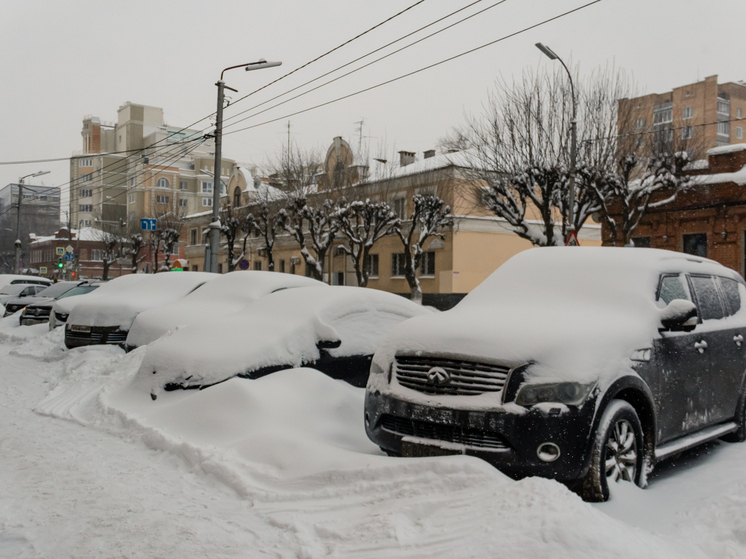 В Белоруссии запретили «незамерзайку» рязанского производства