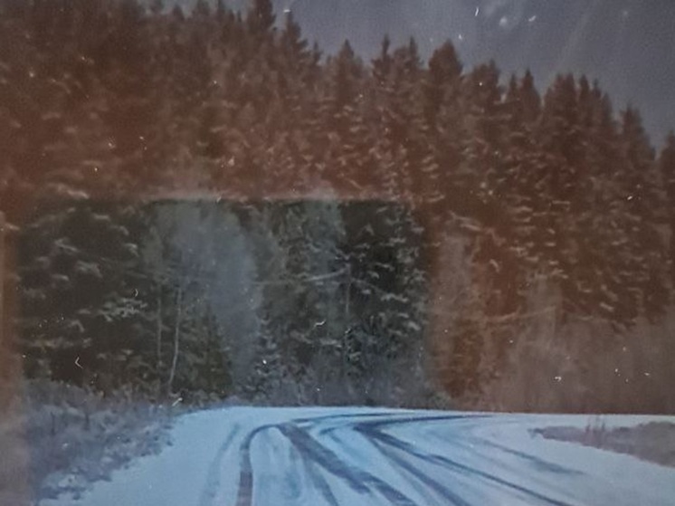 В Курганской области закрыли сезон охоты на косулю и лося