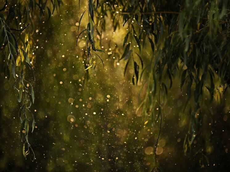 ЧАСТЬ I

Мы ежедневно чему-то удивляемся