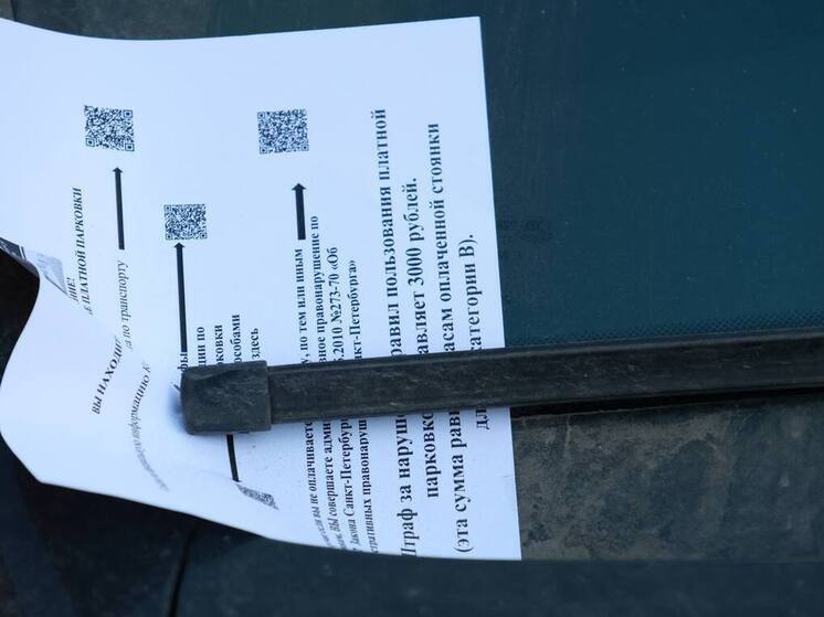 Из-за сильного снегопада в Петербурге начали следить за парковкой ТС