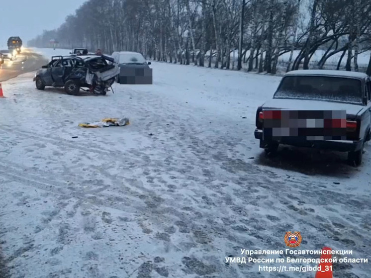 В Новооскольском округе 17-летний водитель иномарки спровоцировал массовое ДТП