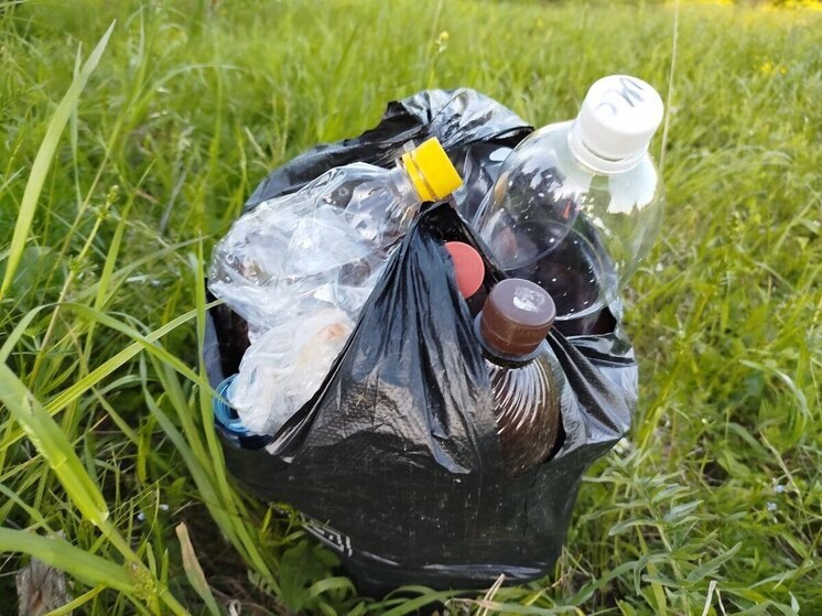 Школьники и детсадовцы Калининграда собрали 10 тонн мусора