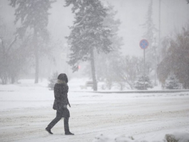 Волгоградскую область 11 января снова накроет снегопад