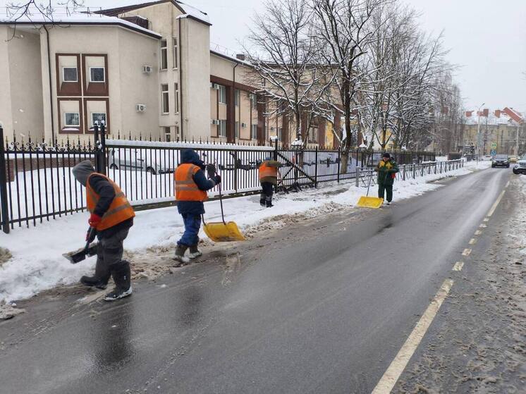 Беспрозванных попросил жителей Калининграда фотографировать неубранные улицы