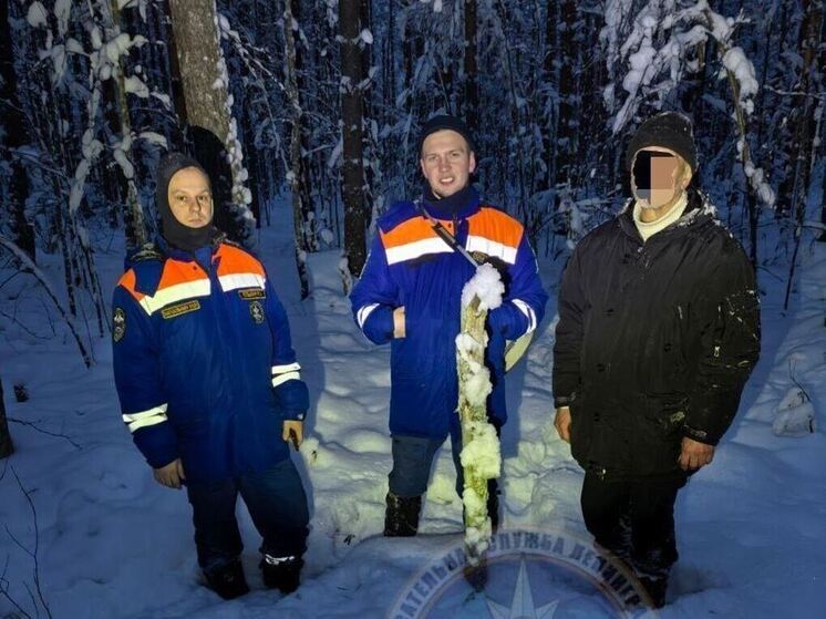 В лесу в Тосненском районе искали заблудившегося мужчину