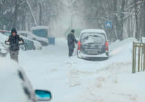 В Москве после масштабных снегопадов — циклон «Фрэнсис» компенсировал средней полосе России всю декабрьскую «недостачу» — устанавливается вполне умеренная январская погода