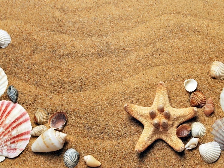 В НАО рассказали про отдых классиков литературы