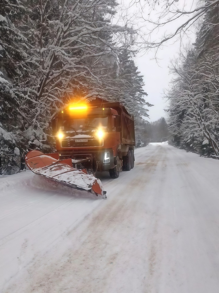 Псковичам подсказали, куда звонить, чтобы убрали снег и включили свет