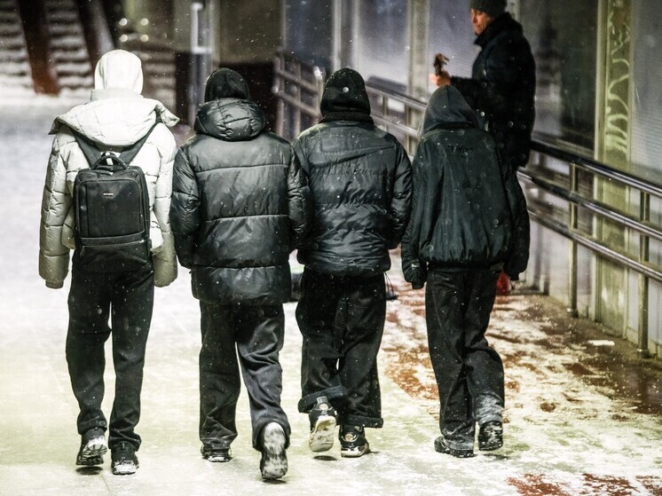 Подростки в России отравились таблетками для животных