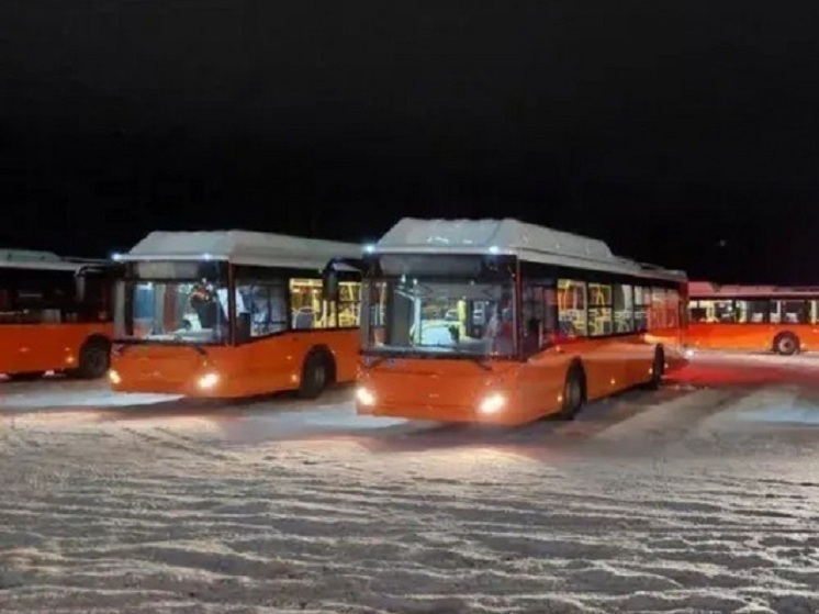 Нижний вошел в пилотный проект по контролю автобусных перевозок
