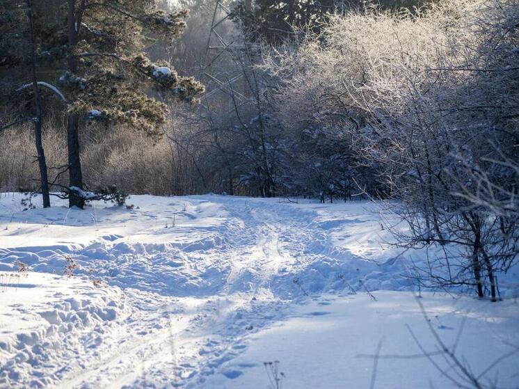 В понедельник на Южном Урале ожидается небольшой снег