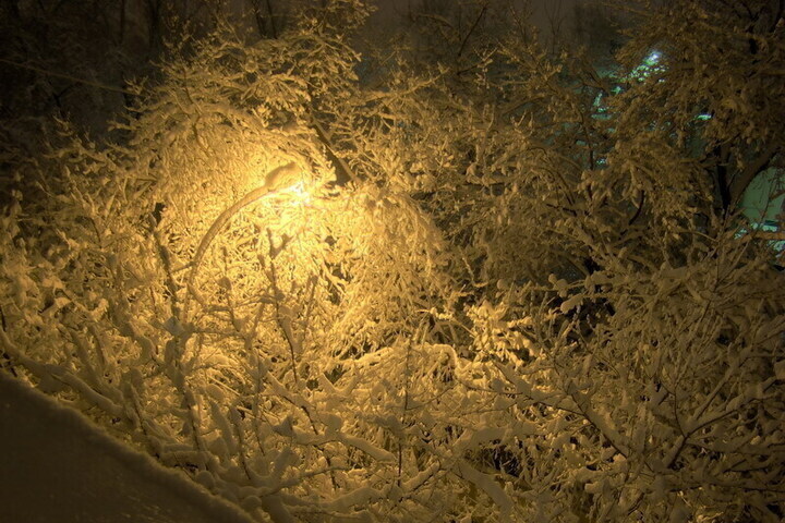 Назван пик снегопада в Москве