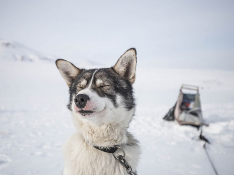 В понедельник на Чукотке возможен небольшой снег