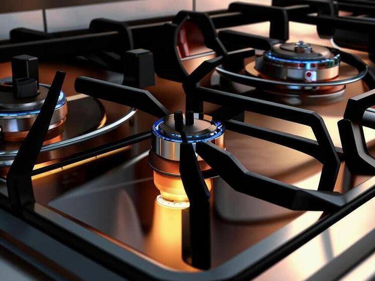 Федеральная программа социальной газификации продолжится в Дагестане в 2026 году