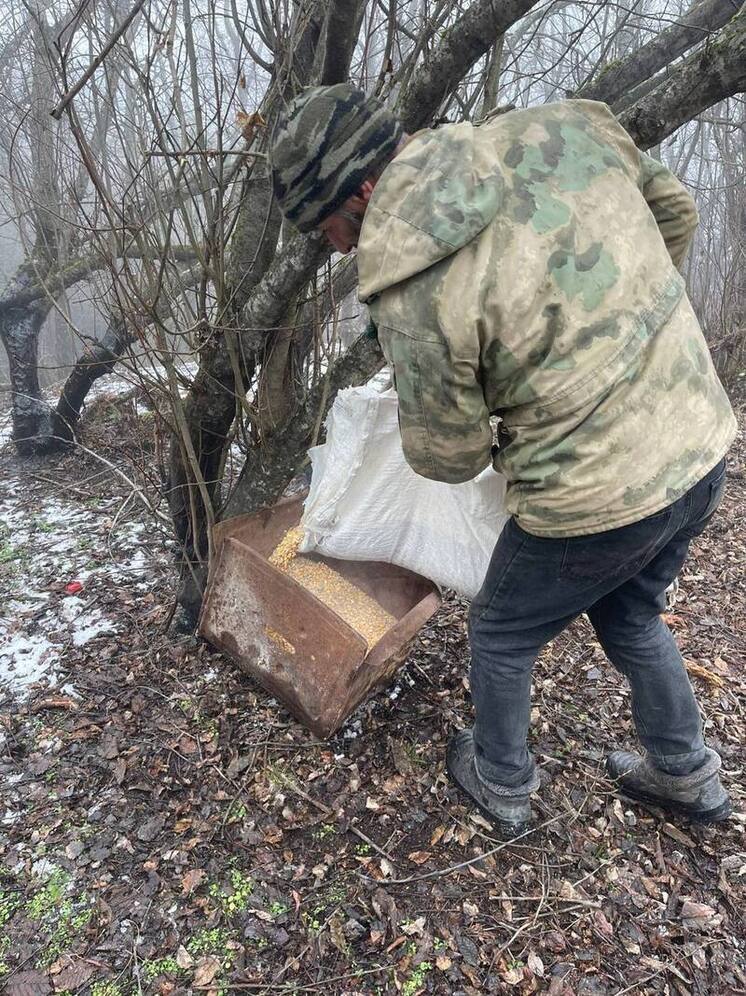 Охотники Хивского района Дагестана сделали кормушки для диких зверей