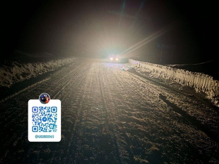 На Сахалине водитель без прав насмерть сбил пешехода и скрылся с места ДТП