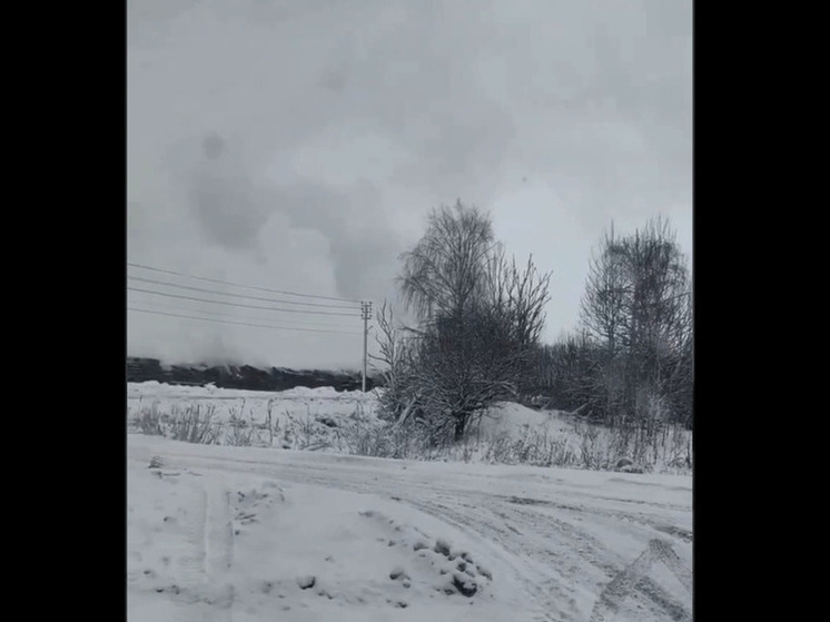 Глава СКР России взял на контроль вопрос о горящих курах в Ярославской области