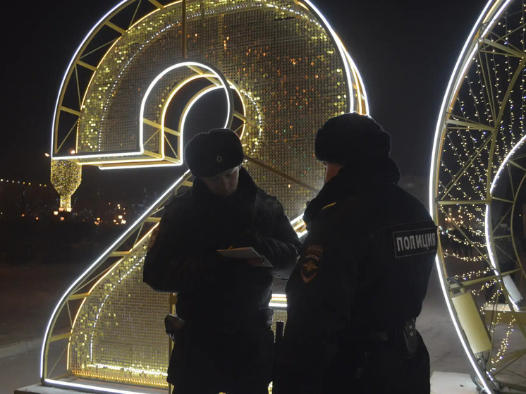 69 преступлений произошло в Забайкалье за новогодние каникулы