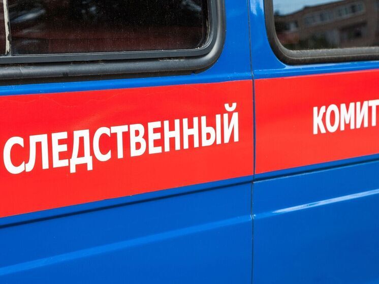 Глава СК РФ поручил возбудить дело после избиения подростка в Новом Уренгое