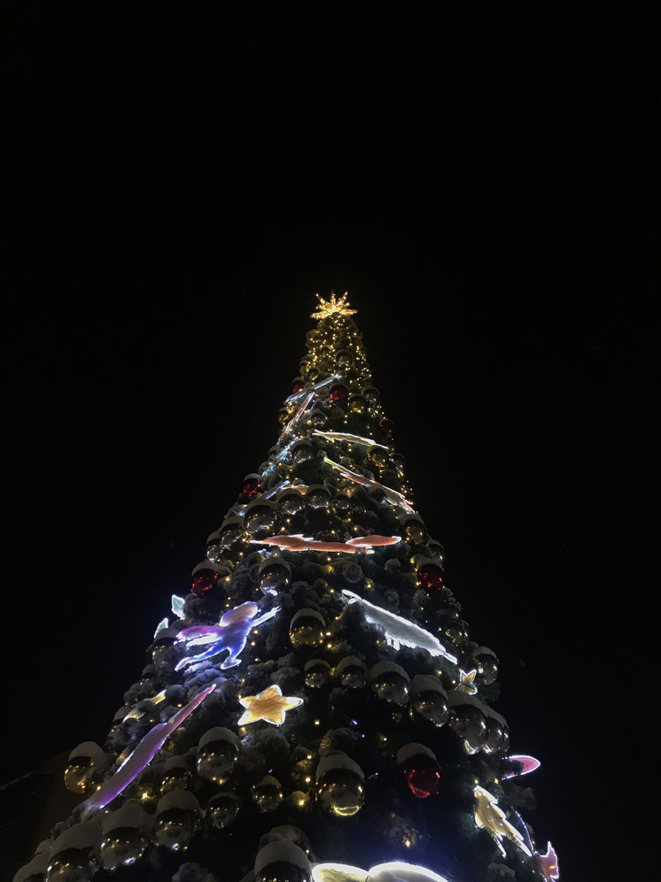 Ледовый городок на острове Татышев в Красноярске закрыли на один день для технического обслуживания