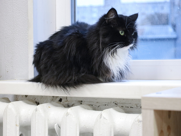 В посёлке Новый Ургал Хабаровского края вышла из строя котельная в минус 37 градусов