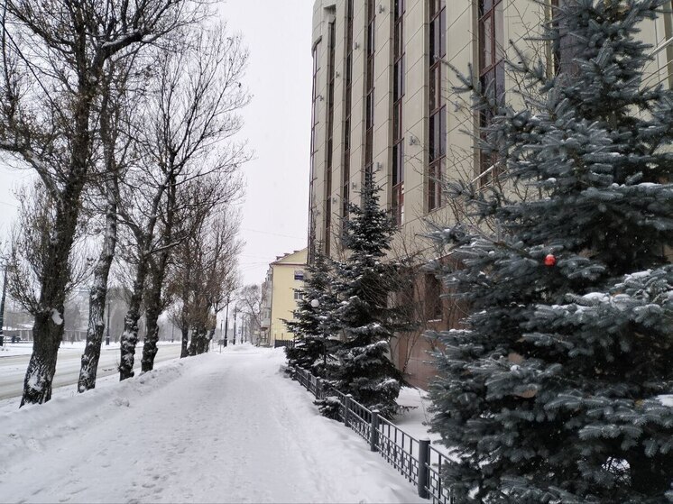 13 января Сахалин и Курилы накроют снегопады и метели с порывами ветра до 27 м/с