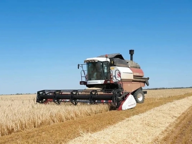 В Астраханской области зафиксирован рекордный урожай овощей