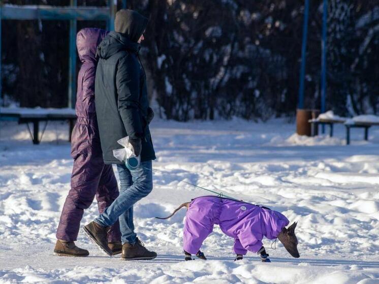 Ближайшие длинные выходные для челябинцев наступят только в конце февраля