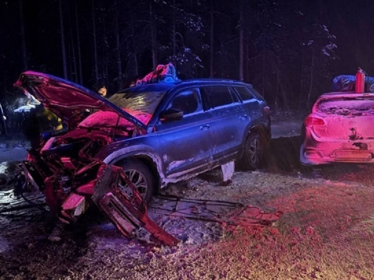 Названа причина крупной аварии с девятью пострадавшими в Карелии