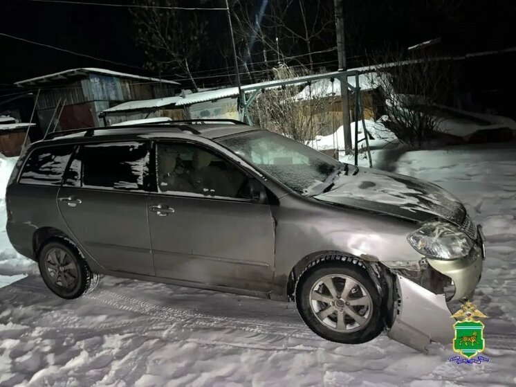 Два пешехода пострадали в ДТП с Toyota в ЕАО