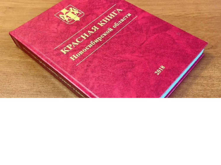В Новосибирской области готовят новое издание Красной книги