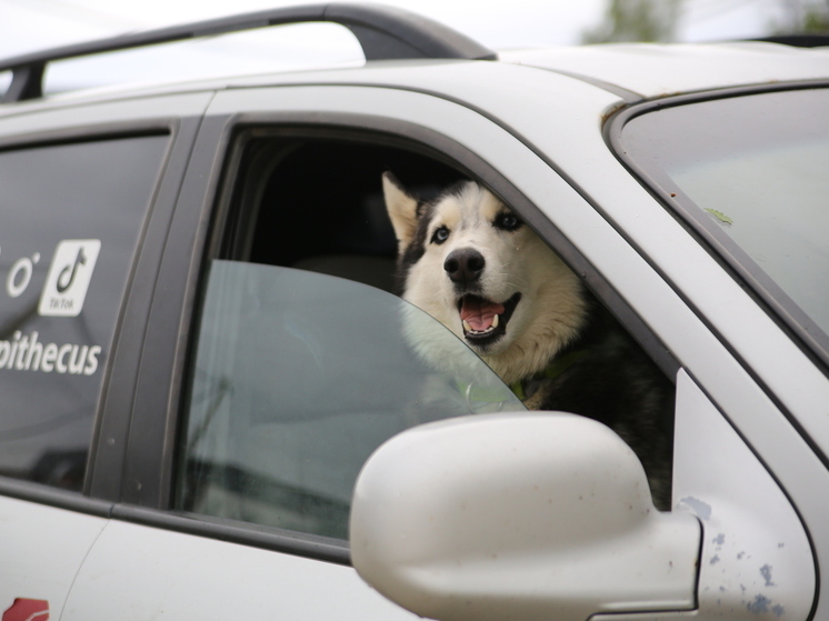 Как снизить стоимость полиса ОСАГО